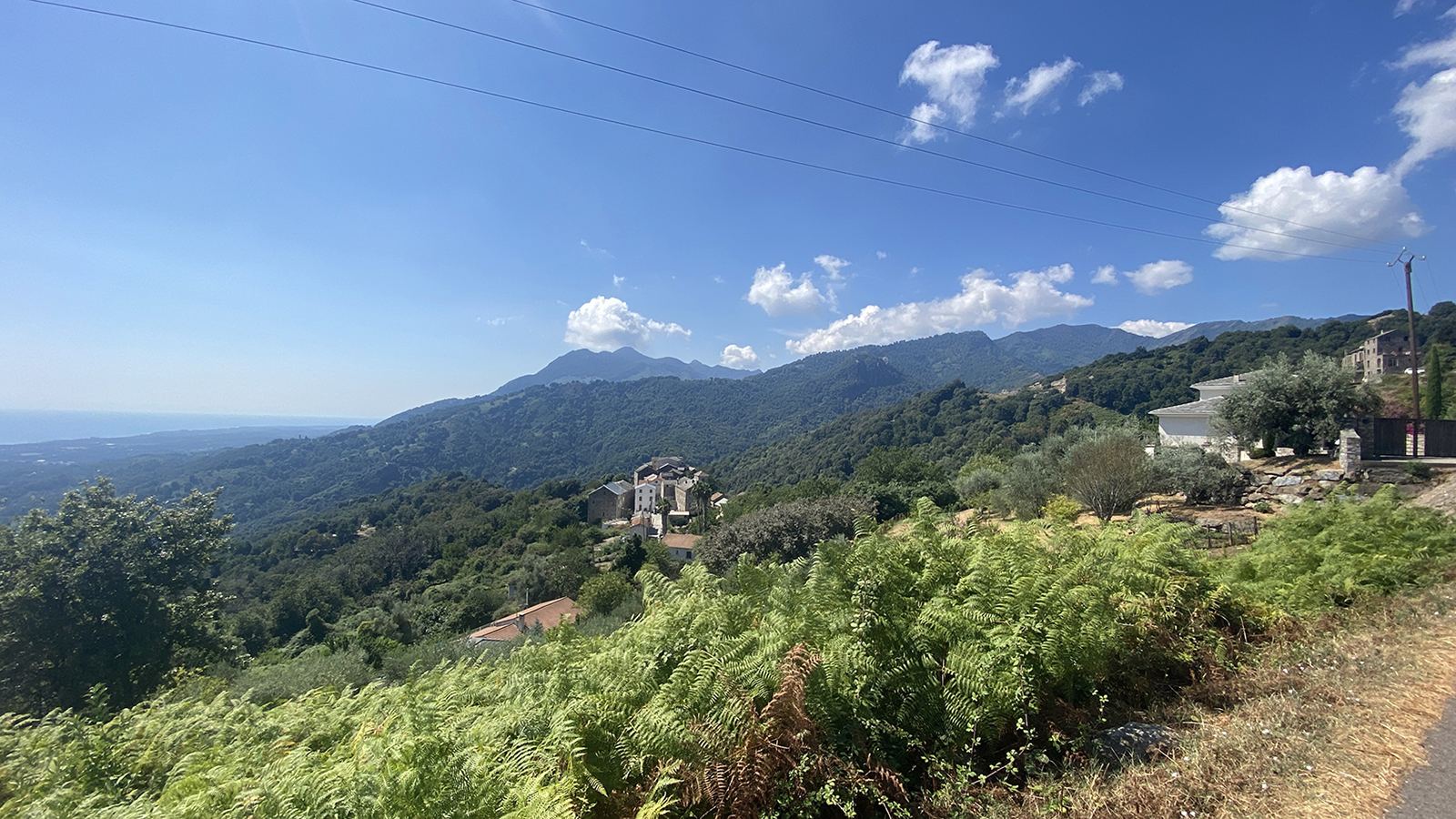 Le terrain en Castagniccia, fougères et vue sur la mer