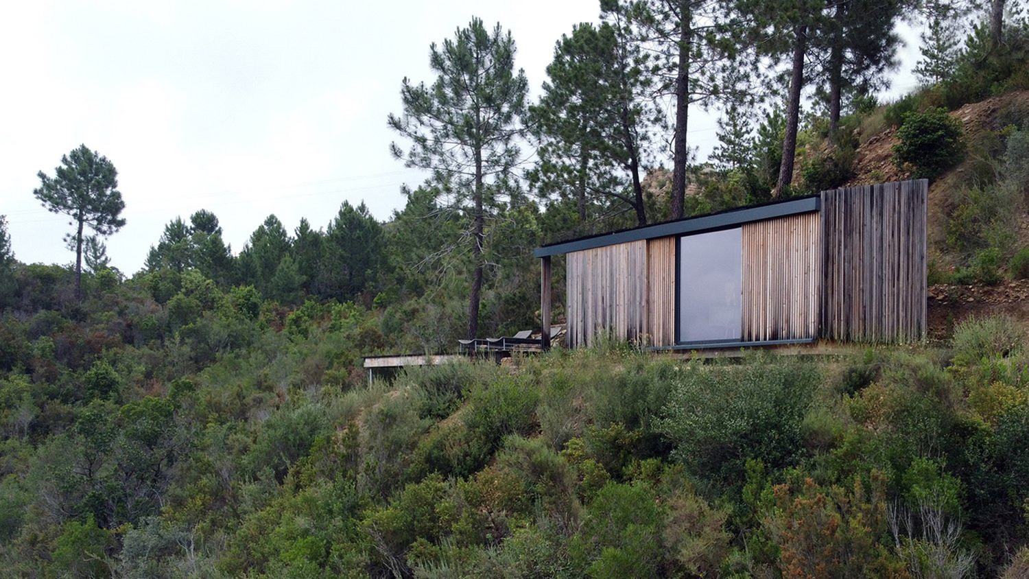 Cabane Casella, pin laricio