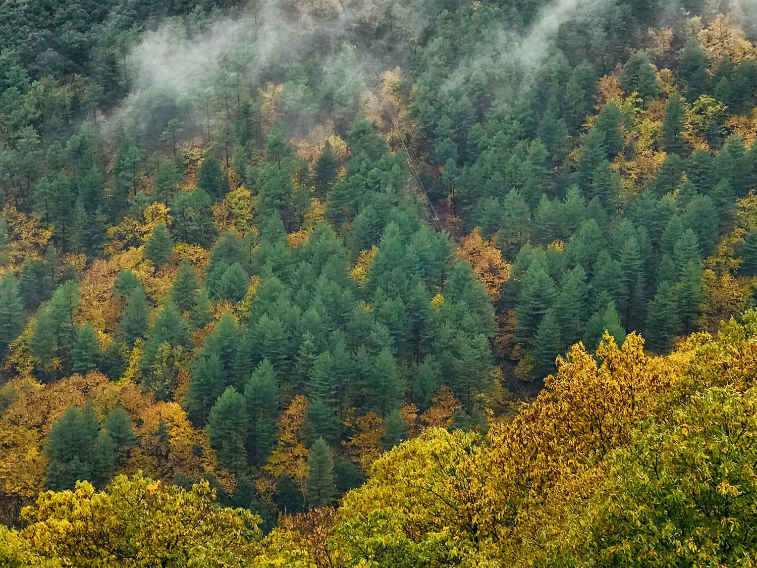 Hameau des Cévennes, photo 2